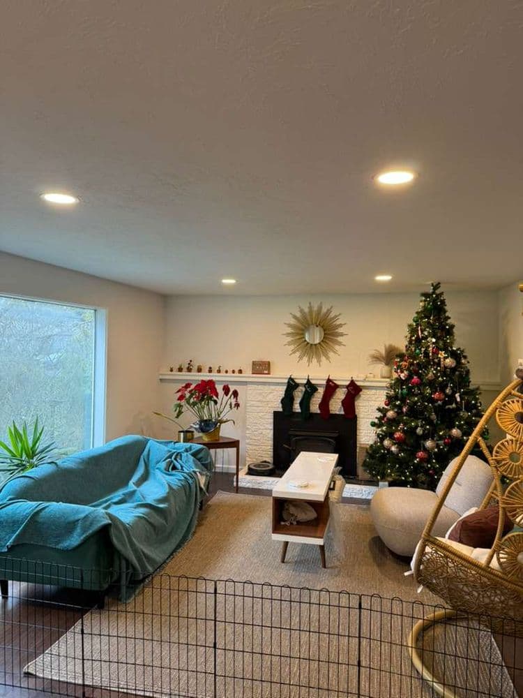 Whole-Home Lighting Upgrade