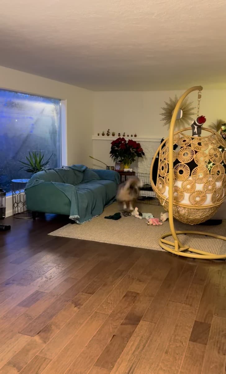 Living room before - no ceiling lights